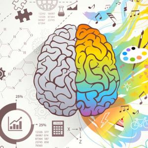 Entenda o que são os gatilhos mentais e como eles podem transformar o seu negócio