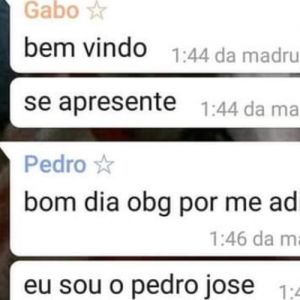 Apenas um dia normal num grupo de Whatsapp