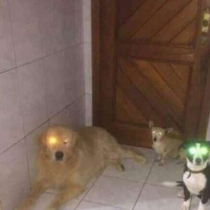 Aslam tá com o farol queimado