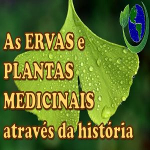 As ervas e plantas medicinais através da história
