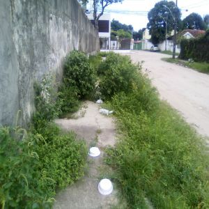 Muito mato na calçada