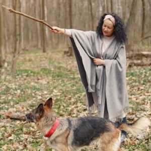 Domine o Adestramento de Cães: Guia Abrangente para Iniciantes