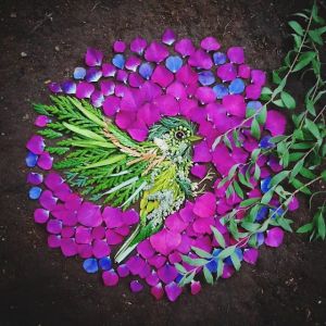 Artista transforma flores em pinturas #3