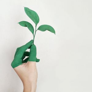 Entenda o que a indústria pode fazer pelo meio ambiente