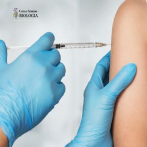 O que define uma vacina covid-19 eficaz?