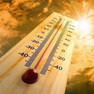 É relativamente fácil evitar a desidratação com estas dicas simples