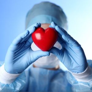 Fatos científicos que marcaram 2022