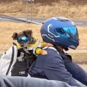 Parceria inseparável sempre!