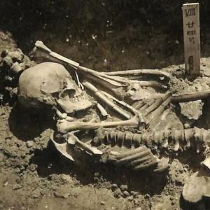 Vítima mais antiga de um ataque de tubarão tem 3 mil anos