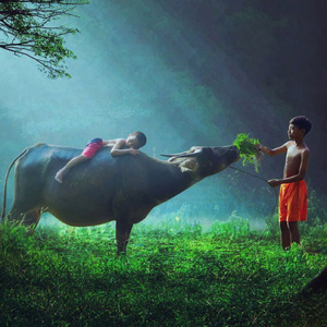 Achmad Munasit, aldeias da Indonésia