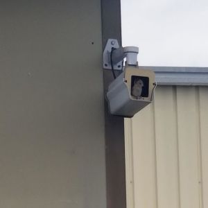 Pessoas que falharam miseravelmente em seus trabalhos