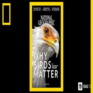 130 anos de National Geographic em 2 minutos