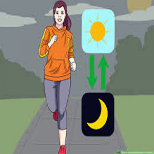 Problemas com sono? Aprenda a aumentar melatonina no corpo 