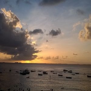 Quando passar a Lua Nova – Amós e a Palavra Profética