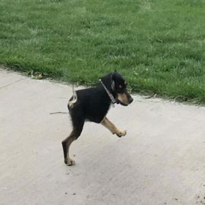 5 fotos panorâmicas que deram extremamente errado