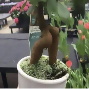 Fazendo aquela pose sexy