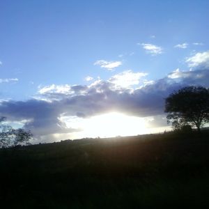 Odeiam na porta – Amós e a Palavra Profética