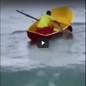 Quando os salva vidas são bem preparados