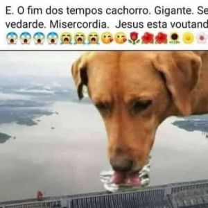 Fim dos tempos, cachorro gigante aparece