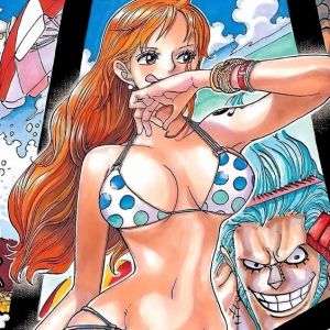 Por que as personagens de One Piece tem peitos Enormes