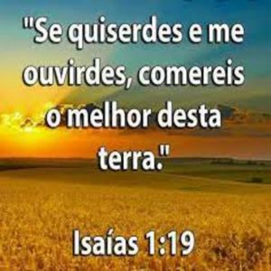 Desfrute o melhor dessa terra