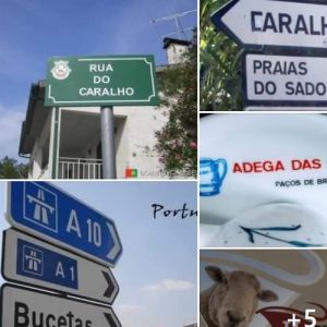 Não tenho maturidade pra viver em Portugal!