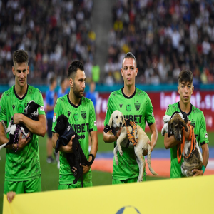 Fatos e curiosidades pra te alegrar #4