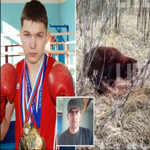 Boxer foi hospitalizado após lutar com o urso que matou seu amigo na Rússia