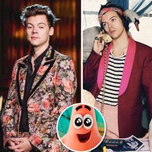 16 Provas de que TUDO na moda é estranho até que Harry Styles use!