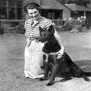 Os maiores guerreiros do mundo animal #9