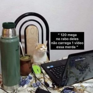  Pague 120 mega e receba 1 mega de internet