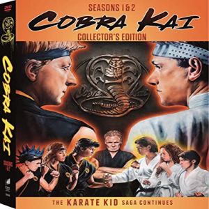 Cobra Kai: Data oficial de lançamento da terceira temporada