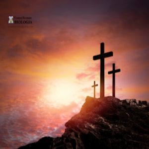 A ciência da crucificação