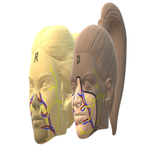 Barcelona realiza primeiro transplante de rosto do mundo com doadora de eutanásia