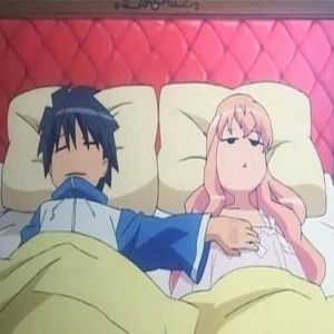 Zero no Tsukaima: Fã fez estudo para determinar tamanho dos peitos da Louise