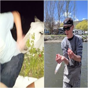 19 Fotos que seriam boas fotos, mas por acidente acabaram sendo obras-primas