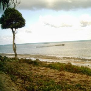 Conselhos bíblicos sobre a sabedoria