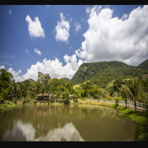 Fazenda Centenária abre as portas ao público