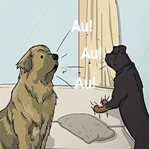 Não dá pra fazer esse tipo de piada com cachorros