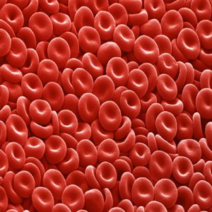 Além do vermelho: as diferentes cores do sangue