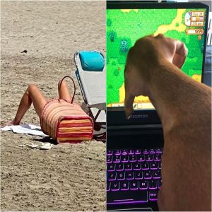 14 Fotos que nos fizeram pensar duas vezes