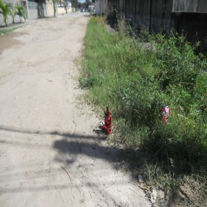 Trabalhos de macumba e feitiçaria