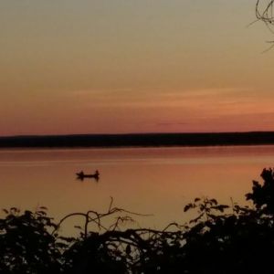 Desprezo suas festas – Amós e a Palavra Profética