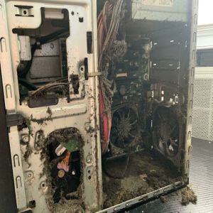 Essas pessoas nunca deveriam usar tecnologia #5