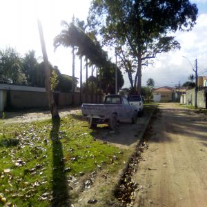 Descaso no logradouro