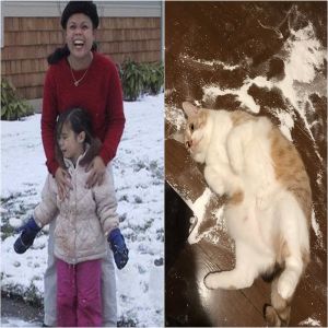 12 fotos mais dramáticas que as peças de Shakespeare