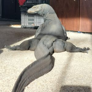 16 pessoas que tiraram fotos de coisas muito engraçadas