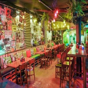 Jângal apresenta Noche Latina com DJ Paco Pigalle