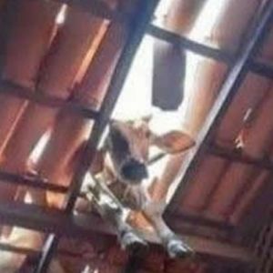 Isso é muito ruim quando acontece