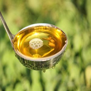 Os 20 tratamentos de beleza mais loucos do mundo